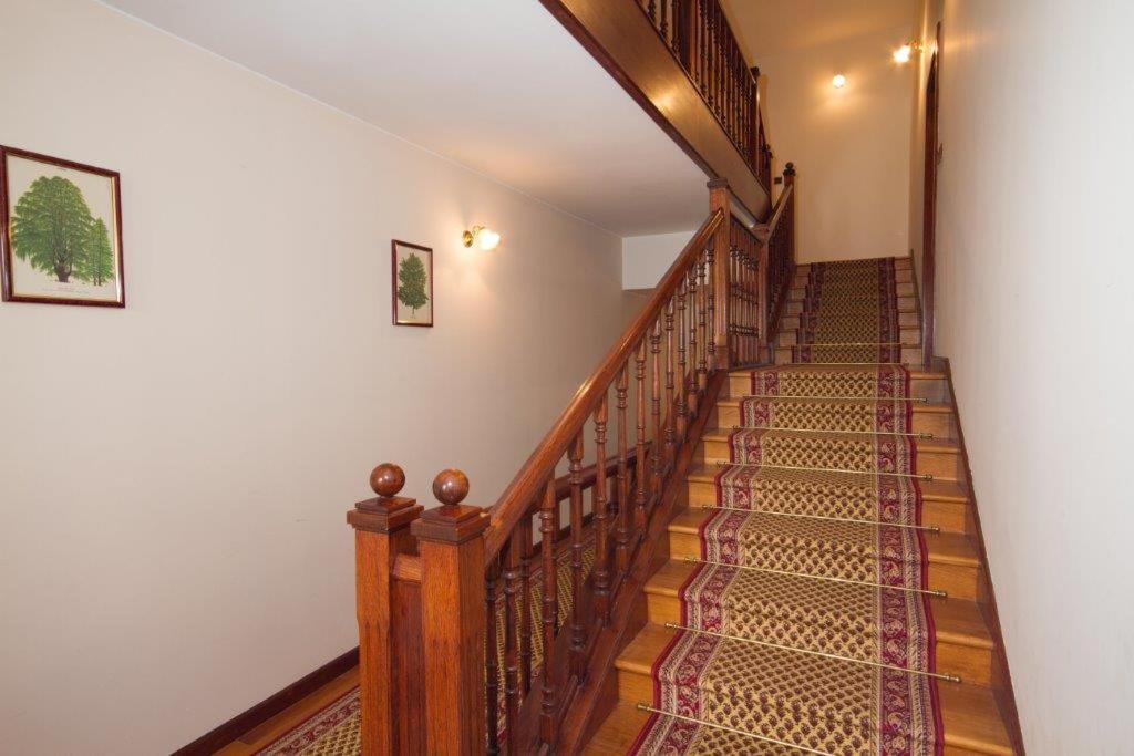Villa Sveta Eufemija Bed End Breakfast II Ρόβινι Εξωτερικό φωτογραφία